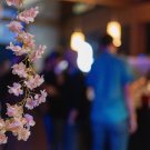 Fotogalerie PlayStation Party